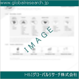グローバルリサーチ調査資料のイメージ
